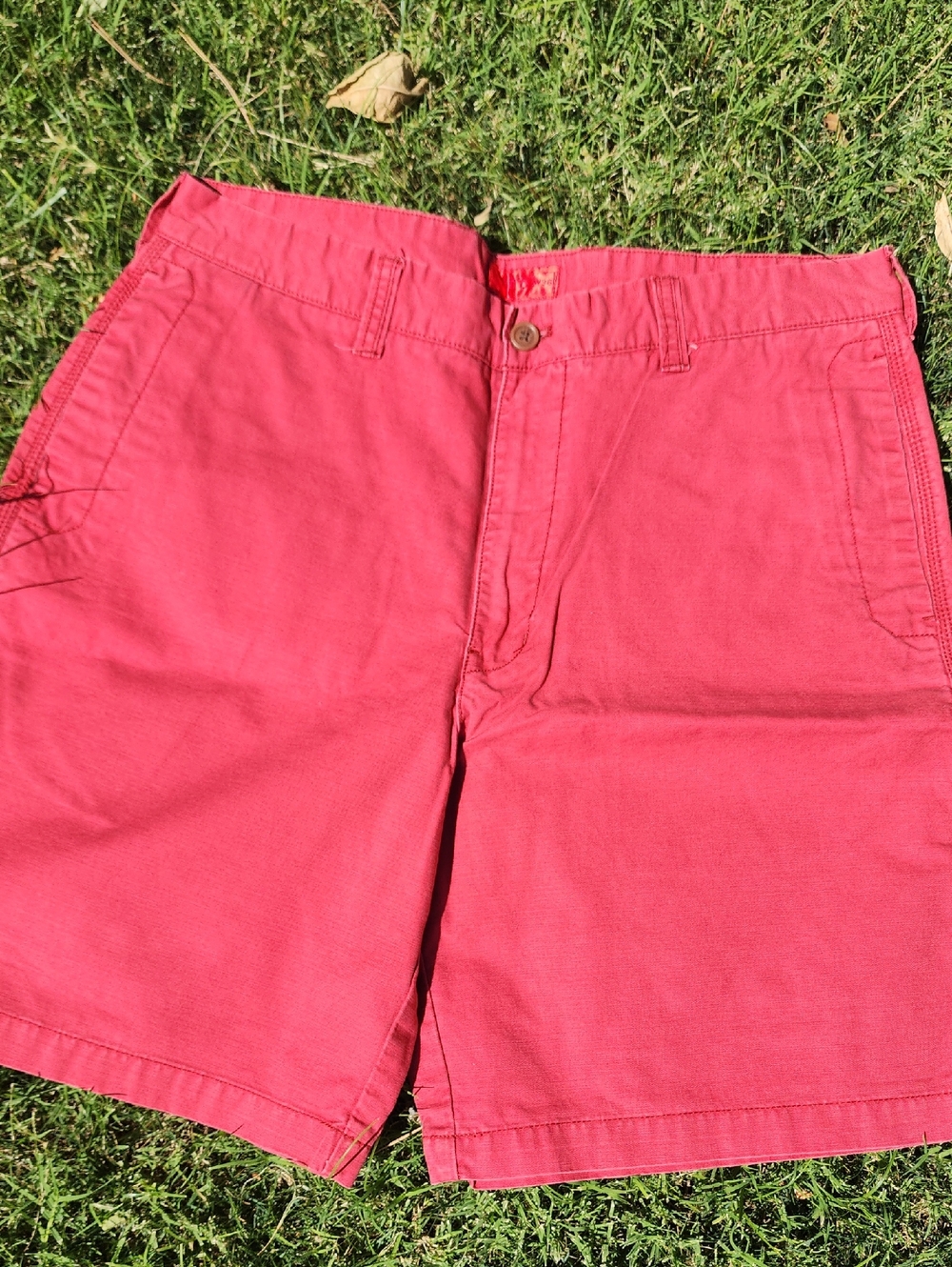 IZOD Red Label Mens Shorts 36